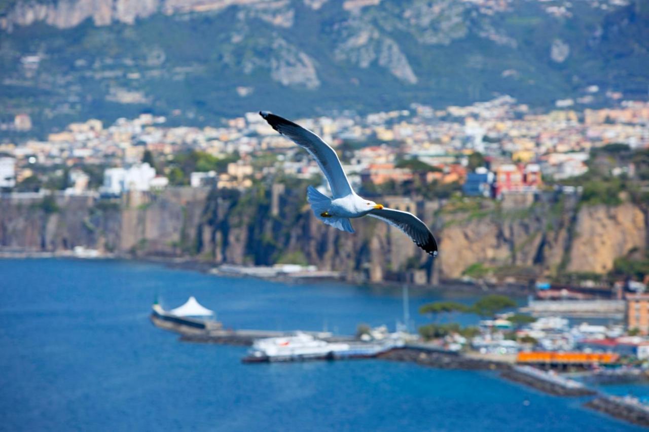 Hotel Belair Sorrento Dış mekan fotoğraf